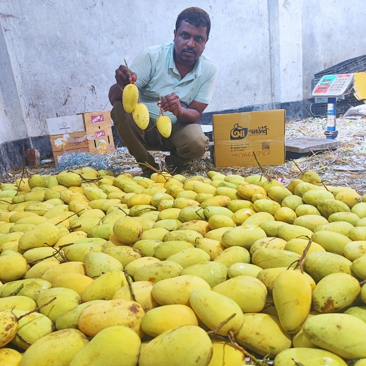 কাটিমন আম বক্স