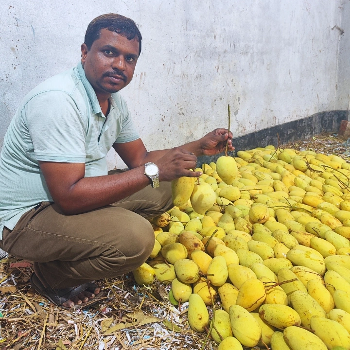 কাটিমন আম