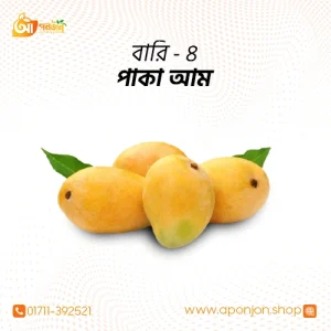 বারি-৪ আম (১০ কেজি)