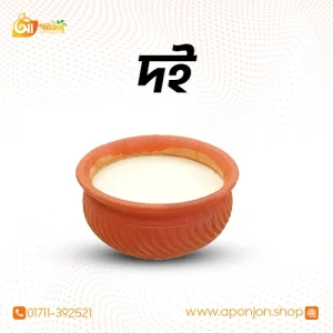 বগুড়ার দই (৫০০গ্রাম)