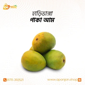 হাড়িভাংড়া আম (১০ কেজি)