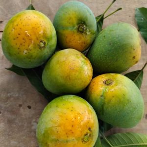 সুমিষ্ট হিমসাগর আম (২৪ কেজি)