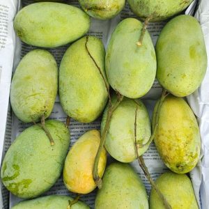 রসালো ফজলি আম - ২৪ কেজি (হোম ডেলিভেরি ফ্রি)
